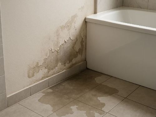 浴室總是溼答答？揭開滲水原因與牆地濕氣問題